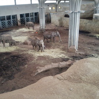 Zoos und Tierparks